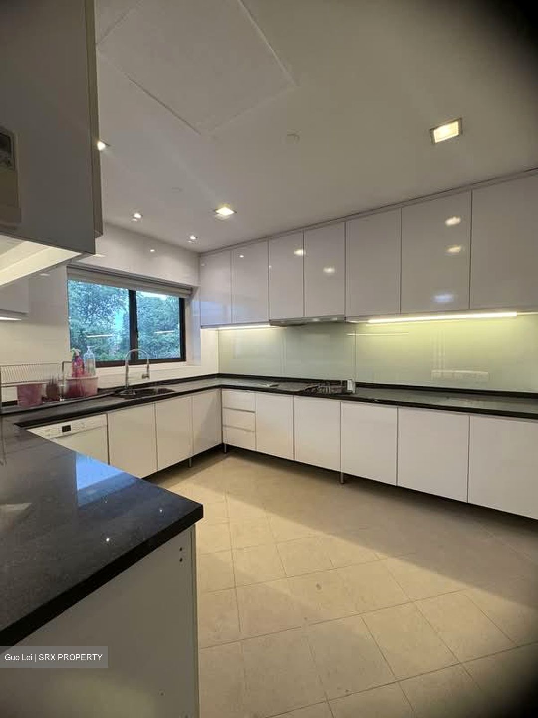 The Arcadia (D11), Condominium #592000221
